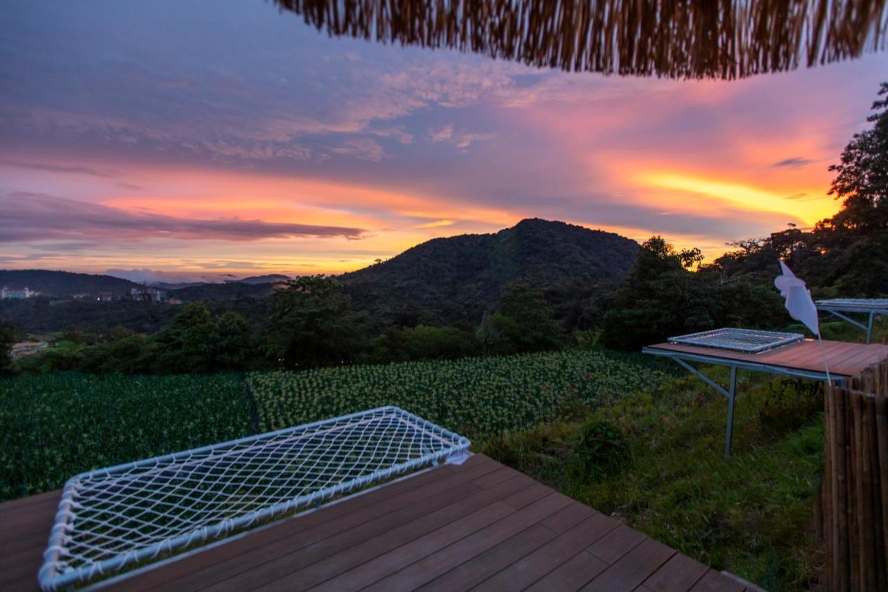 Stellar Goldenhill Cameron Tanah Rata Esterno foto